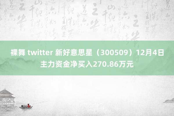 裸舞 twitter 新好意思星（300509）12月4日主力资金净买入270.86万元