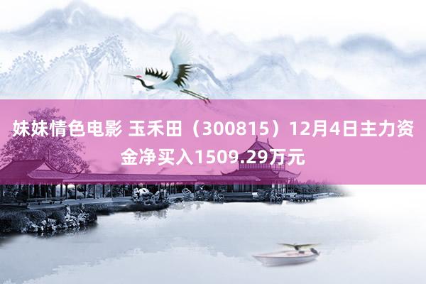 妹妹情色电影 玉禾田（300815）12月4日主力资金净买入1509.29万元