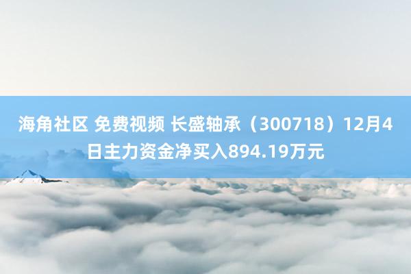 海角社区 免费视频 长盛轴承（300718）12月4日主力资金净买入894.19万元