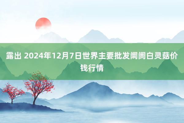 露出 2024年12月7日世界主要批发阛阓白灵菇价钱行情