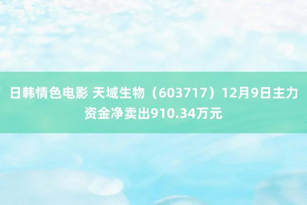 日韩情色电影 天域生物（603717）12月9日主力资金净卖出910.34万元