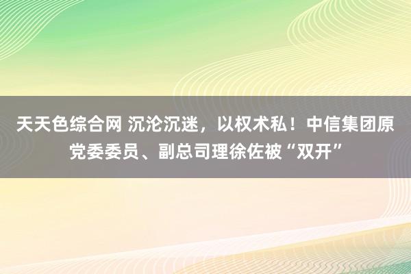 天天色综合网 沉沦沉迷，以权术私！中信集团原党委委员、副总司理徐佐被“双开”