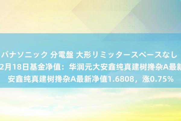 パナソニック 分電盤 大形リミッタースペースなし 露出・半埋込両用形 12月18日基金净值：华润元大安鑫纯真建树搀杂A最新净值1.6808，涨0.75%