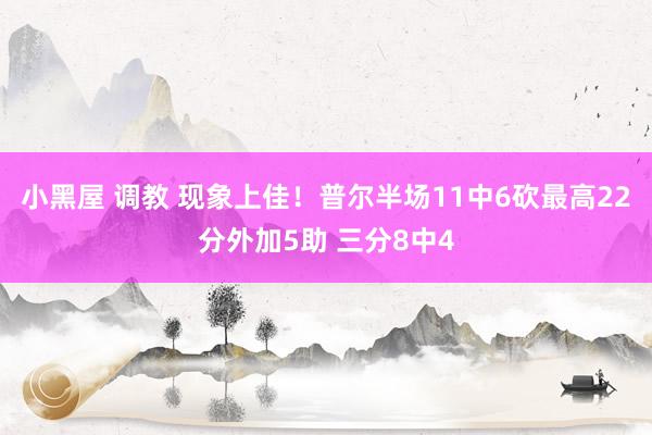 小黑屋 调教 现象上佳！普尔半场11中6砍最高22分外加5助 三分8中4