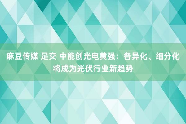 麻豆传媒 足交 中能创光电黄强：各异化、细分化将成为光伏行业新趋势