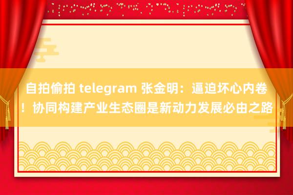 自拍偷拍 telegram 张金明：逼迫坏心内卷！协同构建产业生态圈是新动力发展必由之路