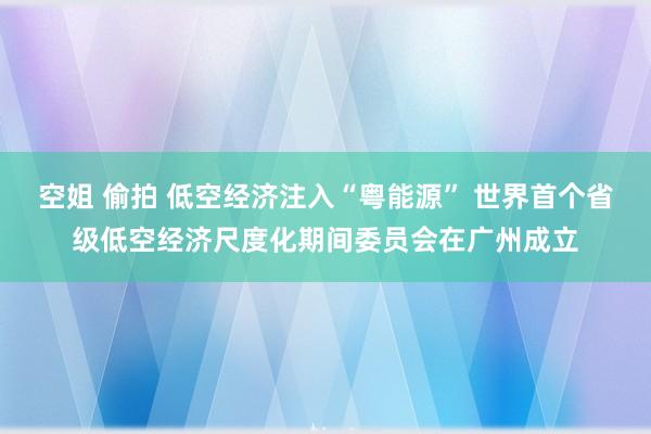 空姐 偷拍 低空经济注入“粤能源” 世界首个省级低空经济尺度化期间委员会在广州成立