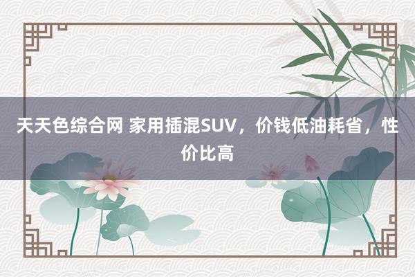 天天色综合网 家用插混SUV，价钱低油耗省，性价比高