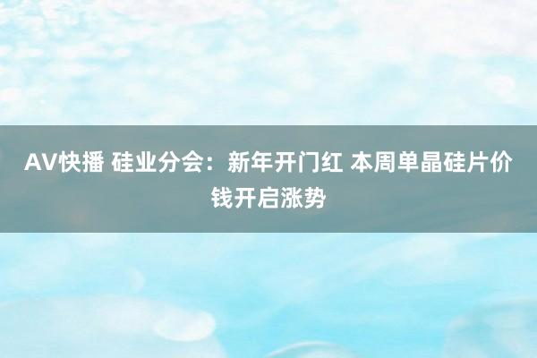 AV快播 硅业分会：新年开门红 本周单晶硅片价钱开启涨势