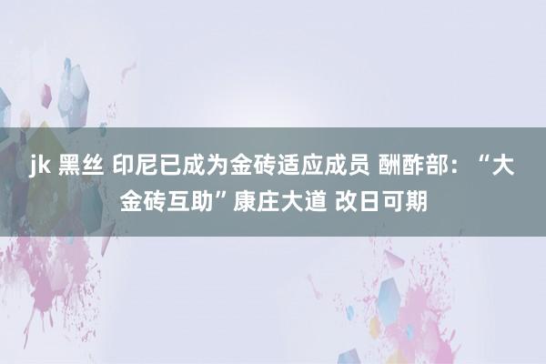 jk 黑丝 印尼已成为金砖适应成员 酬酢部：“大金砖互助”康庄大道 改日可期