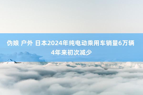 伪娘 户外 日本2024年纯电动乘用车销量6万辆 4年来初次减少