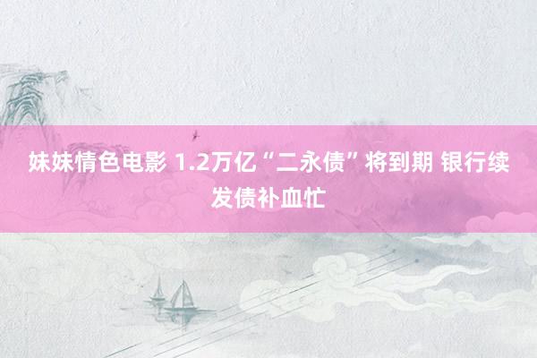 妹妹情色电影 1.2万亿“二永债”将到期 银行续发债补血忙