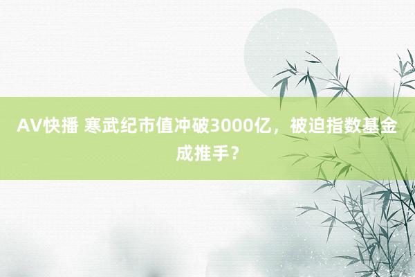 AV快播 寒武纪市值冲破3000亿，被迫指数基金成推手？