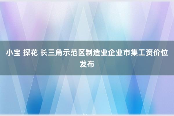 小宝 探花 长三角示范区制造业企业市集工资价位发布