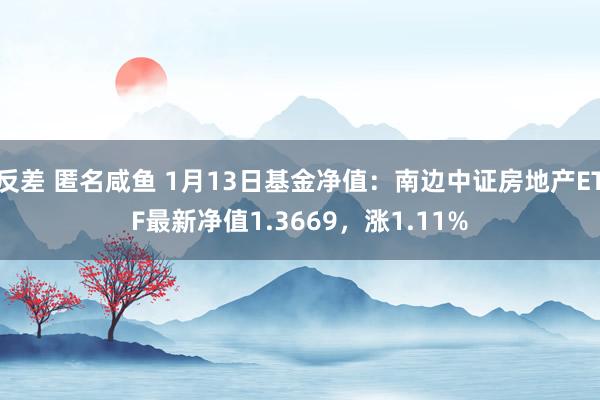 反差 匿名咸鱼 1月13日基金净值：南边中证房地产ETF最新净值1.3669，涨1.11%