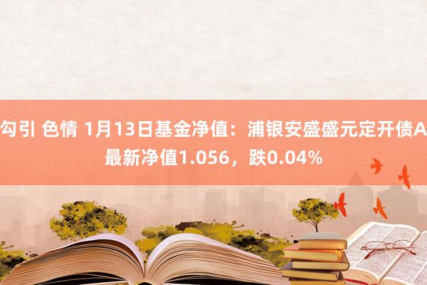 勾引 色情 1月13日基金净值：浦银安盛盛元定开债A最新净值1.056，跌0.04%