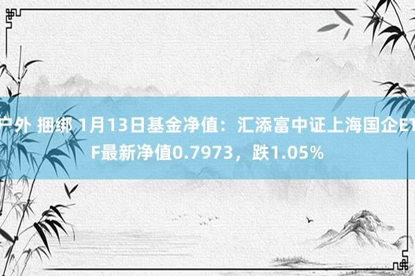 户外 捆绑 1月13日基金净值：汇添富中证上海国企ETF最新净值0.7973，跌1.05%