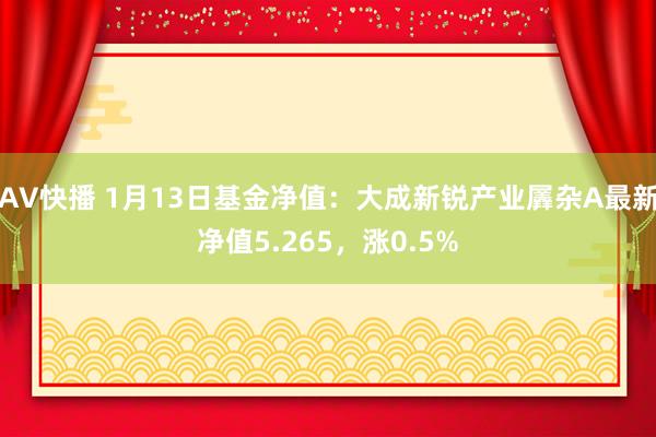 AV快播 1月13日基金净值：大成新锐产业羼杂A最新净值5.265，涨0.5%