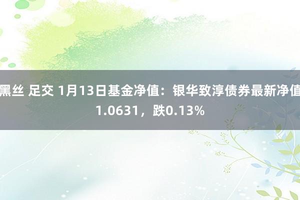 黑丝 足交 1月13日基金净值：银华致淳债券最新净值1.0631，跌0.13%