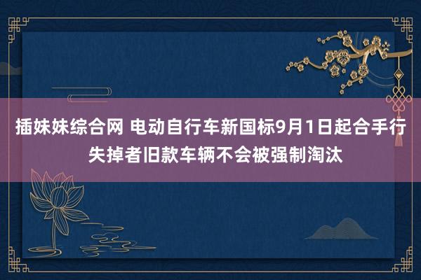 插妹妹综合网 电动自行车新国标9月1日起合手行  失掉者旧款车辆不会被强制淘汰