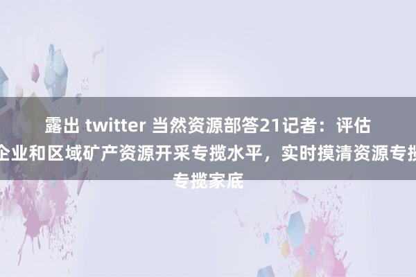 露出 twitter 当然资源部答21记者：评估矿山企业和区域矿产资源开采专揽水平，实时摸清资源专揽家底