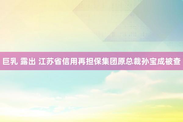 巨乳 露出 江苏省信用再担保集团原总裁孙宝成被查