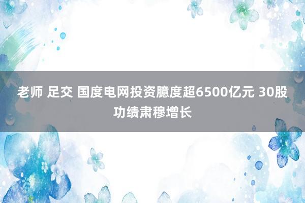 老师 足交 国度电网投资臆度超6500亿元 30股功绩肃穆增长