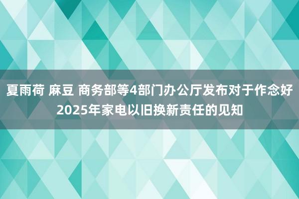 夏雨荷 麻豆 商务部等4部门办公厅发布对于作念好2025年家电以旧换新责任的见知